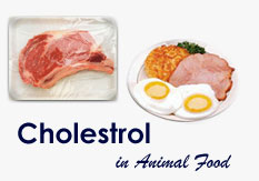 Cholesterol in Animal Foods