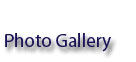 i-Gallery Home Page