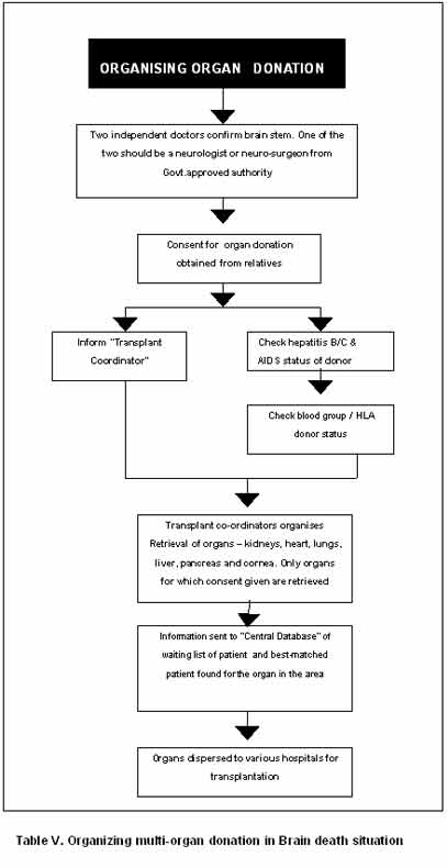 Diagnosing and Maintenance of Brain Death Organ Donor